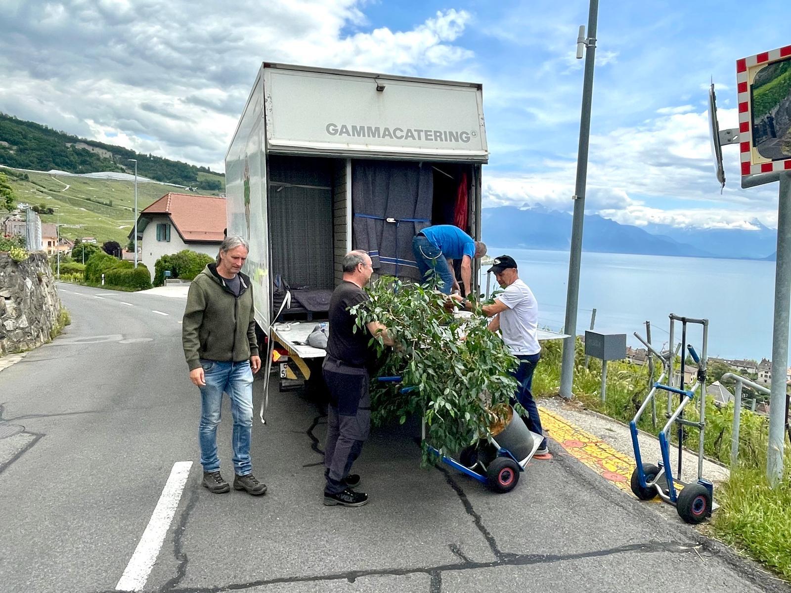 Équipe Moser chargeant un arbre
